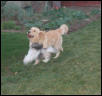 Hey, thats my ball