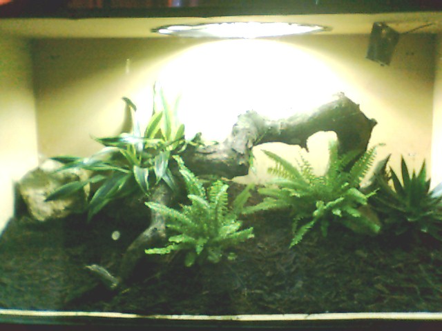 new copperhead cage