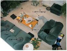 Spoiled Cats