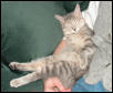 Gracie sleeping again...