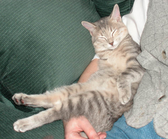 Gracie sleeping again...