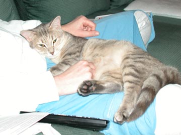 Gracie on my lap