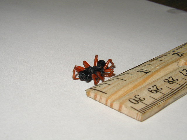 Poisonous?