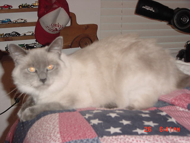Dixie 2