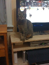 Justin and the playoffs