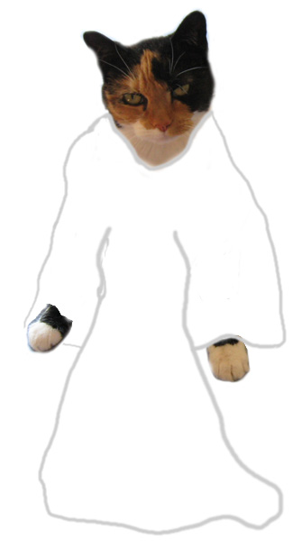 Cathy's Wedding Gown