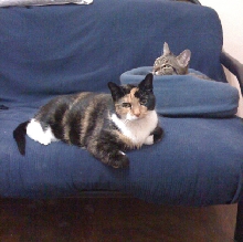 on da futon