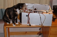 dis me helping bild a puter furr mommy