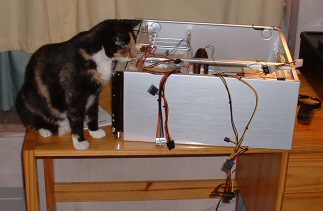 dis me helping bild a puter furr mommy