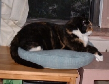 by da window: da sekwil