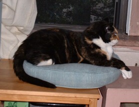 by da window: da sekwil