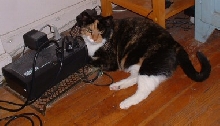 uninneruptible PURR supply!