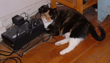uninneruptible PURR supply!