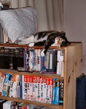 hitting da books
