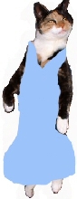 Cathy's bridesmaid dress 1