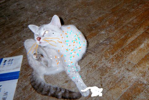 fanci afpurr Topaz finish wid her