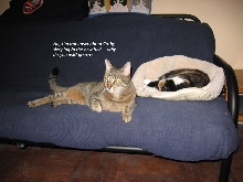 how long her gonna stay in dat bed?