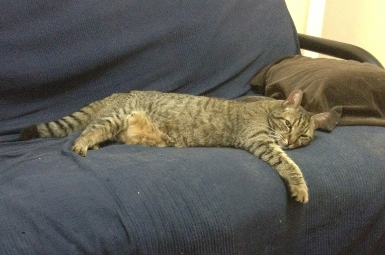 me on the futon