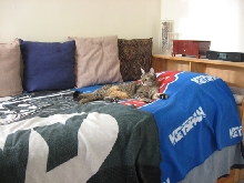good thing I'm not spoiled :)