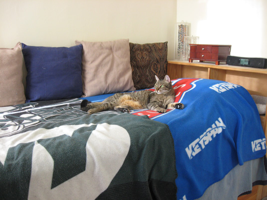 good thing I'm not spoiled :)