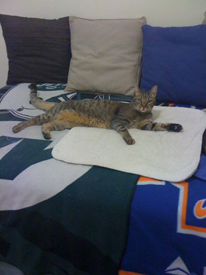 Justin relaxing on HSCB