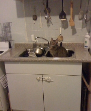 trying to get da hoomin to run some water