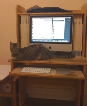 I wanna meow, too!