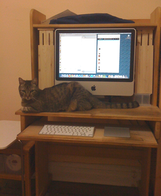 I wanna meow, too!