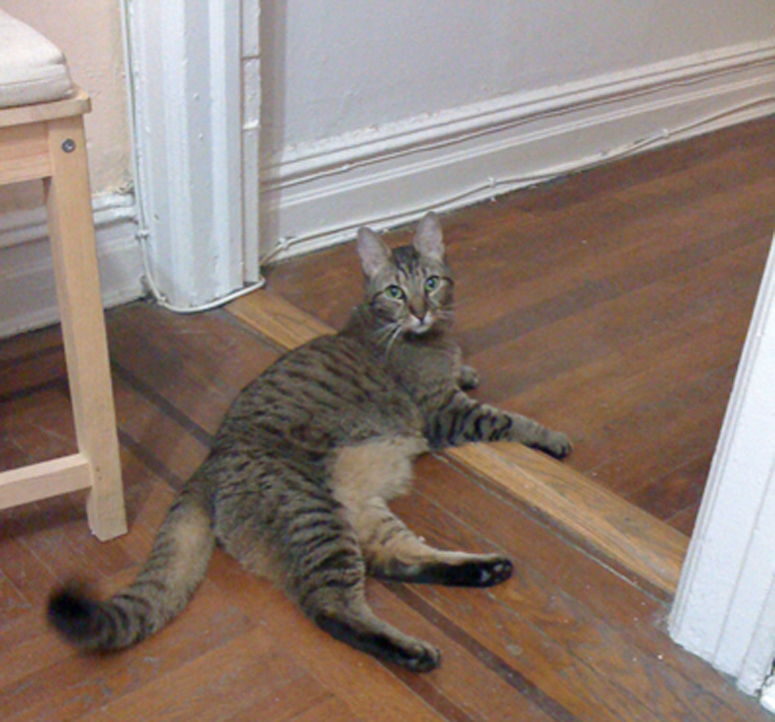 just waiting for more treats