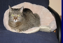 da new bed