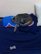 comfy!