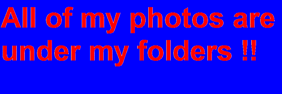 All of my photos are under my folders !!