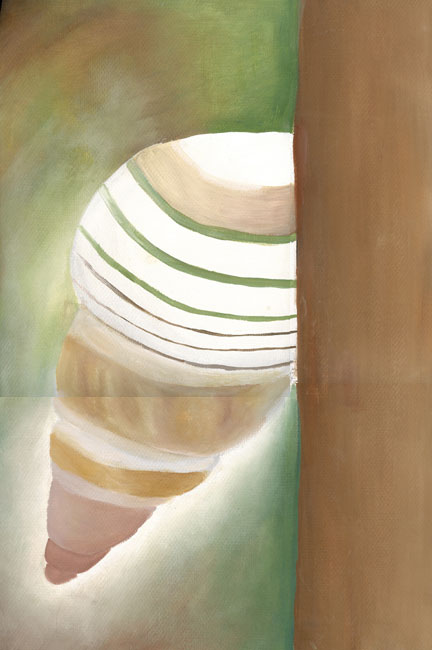 A Land Snail