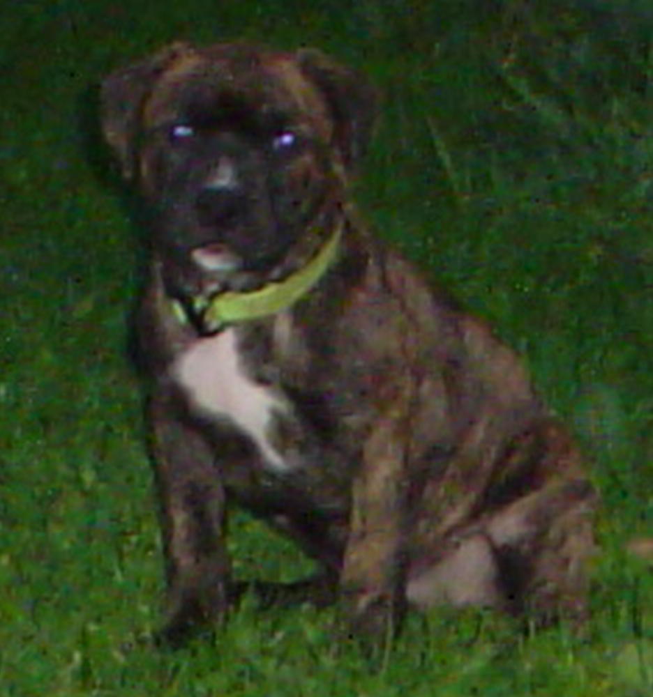 my shorty