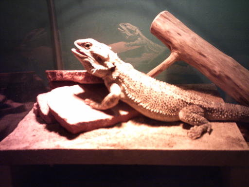 Only 5 months!
