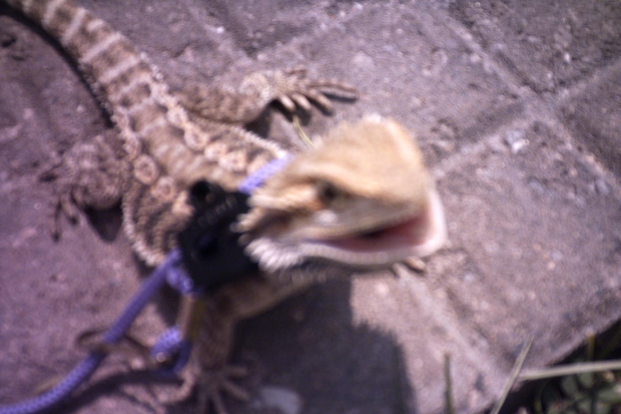 Anchious Mouth Open