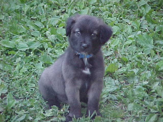 Cosmo