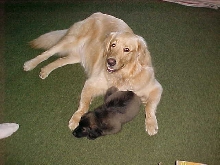 Heartly's New Brother!