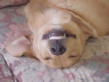 Smiling Heartly