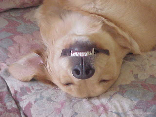 Smiling Heartly