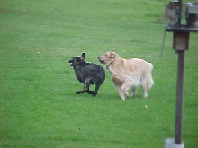 Playtime!