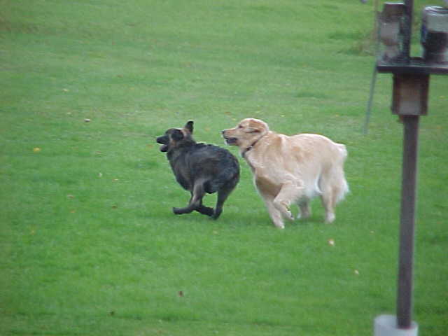 Playtime!