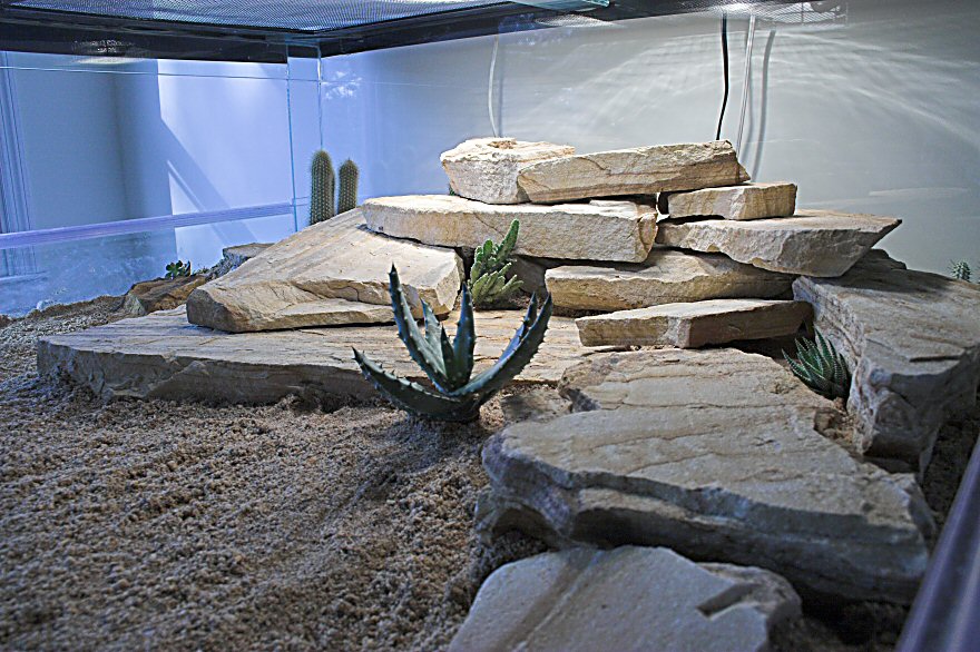 Ackie Palace