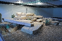 Ackie Palace pic 2