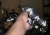 Orca0629062