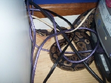 escape artist..yet again