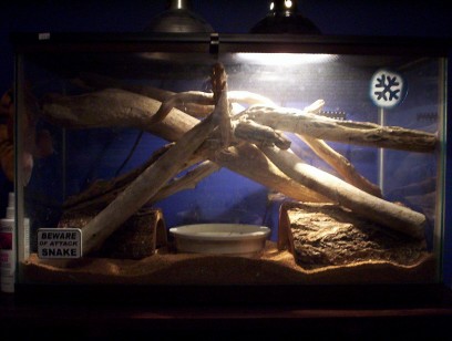 ball python tank