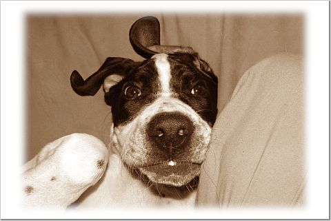 more remy pics