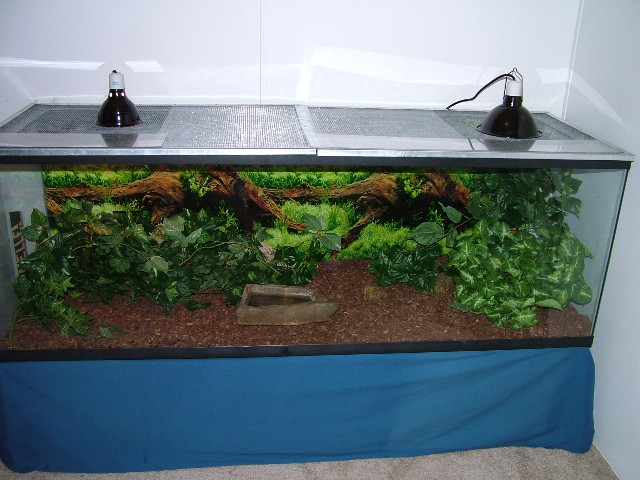 MY REDTAIL CAGE