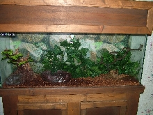 BP CAGE